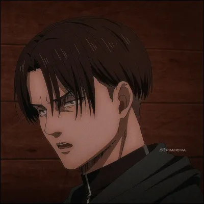 À la fin de la série, Rivaille Heichoū a quel âge ?
Et malheureusement il a un chouia mal vieilli...