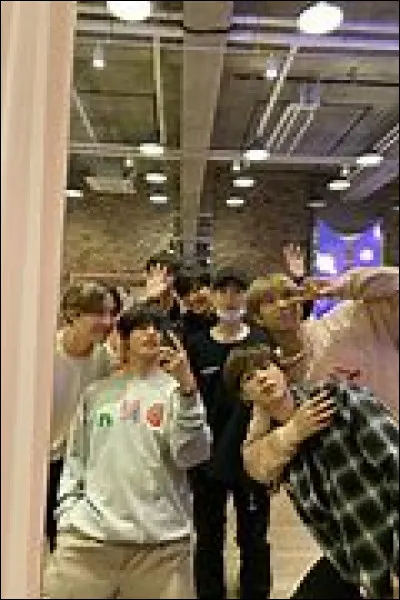 Quel membre aimerait faire un feat avec IU ?