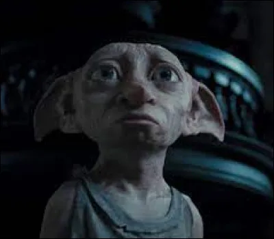 Comment s'appelle l'elfe de maison qu'adore Harry ?