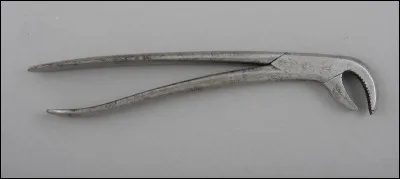 Le chanteur Wouter Levenbach est plus connu sous le nom de...