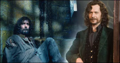 Qui est l'acteur de Sirius Black ?