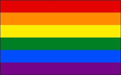 Concernant les questions relatives à l'homosexualité :