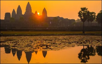 Quelle est l'unit&eacute; mon&eacute;taire du Cambodge ?