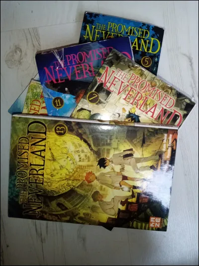 La série fait combien de tomes ?