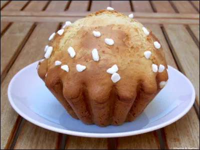 Ton aliment préféré est :