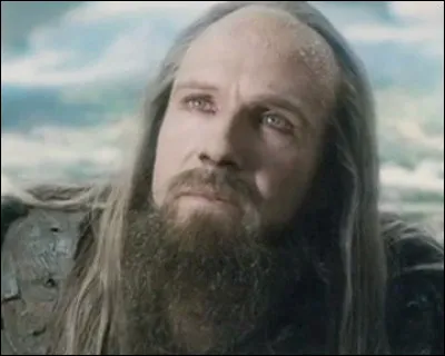 Qui est cet acteur qui a joué dans "La Liste de Schindler", "Dragon rouge" et dans des films de la saga "Harry Potter" ?