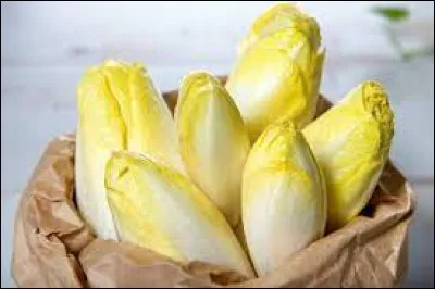 De quelle famille de salades l'endive fait-elle partie ?
