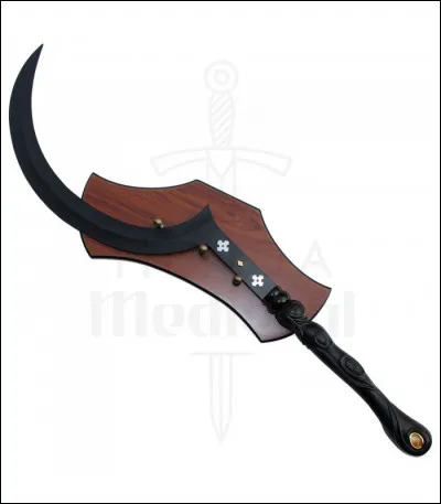 &Agrave; qui appartient cette arme ?