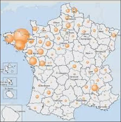 Environ 45 % des volailles françaises sont produites en Bretagne et Pays de la Loire :