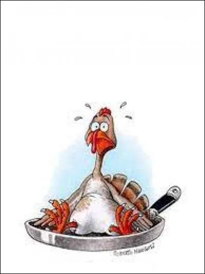 D'après vous quelles sont les utilisations culinaires possibles ?