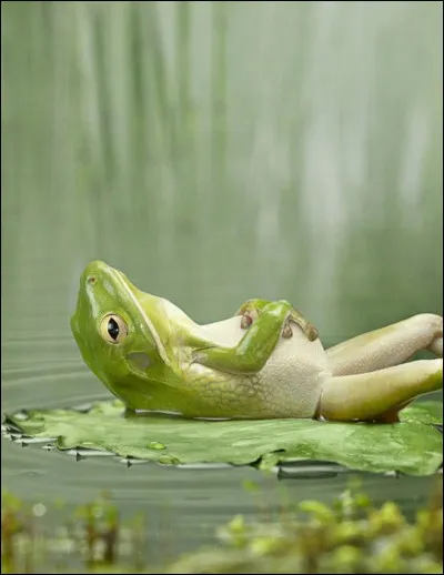 Qu'aimes-tu manger ?