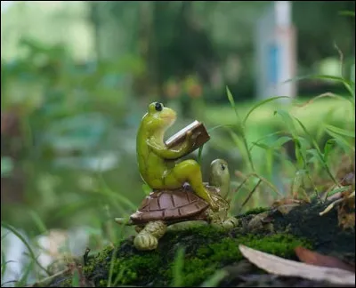 Est-ce que tu as de bonnes notes ?