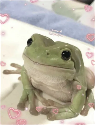 Comment transmets-tu ton amour ?