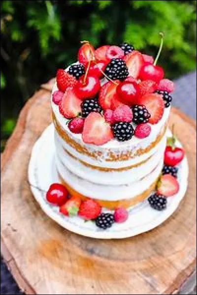 Quels frères importants dans l'histoire de "Dragon Ball Super" se chamaillent pour les goûts culinaires de leurs univers ?