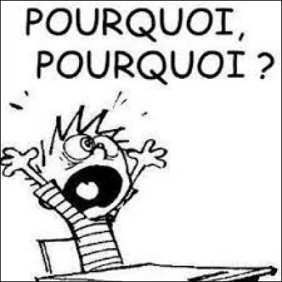 Pourquoi fais-tu le test ?