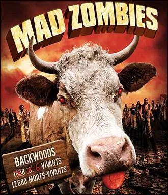 Qui incarne le héros du film ?