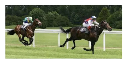 Pour que les courses de chevaux classiques soient les plus serrées possible, les chevaux portent un poids de façon à rééquilibrer leurs chances.