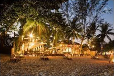 Le soir venu Natasha décide de faire une petite fête au bar de la plage privée. Choisis ta tenue :