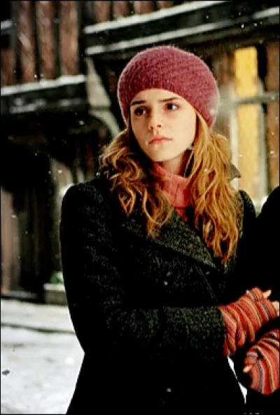 Qu'écrit Bellatrix Lestrange sur le bras d'Hermione ?