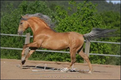 Quelle est cette robe-l&agrave; ?