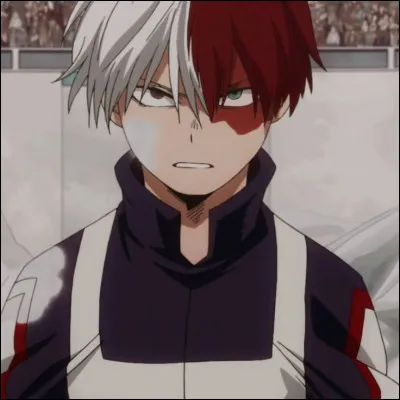 L'examen approche, Shoto termine de t'expliquer les cours et te regarde. Un homme vous interpelle et insulte Shoto. Celui-ci se lève en gardant la tête froide. Que fais-tu ?