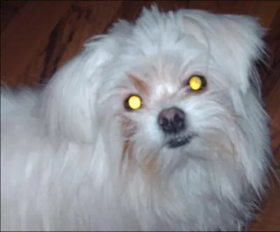 Et un p'tit mlange...