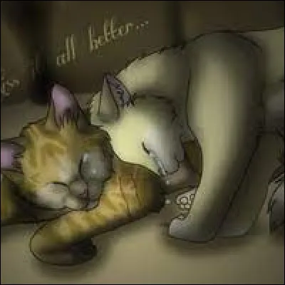 Quel est ce couple ?