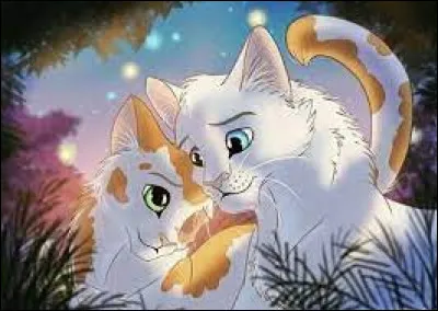 Quel est ce couple ?