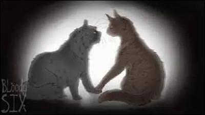 Quel est ce couple ?