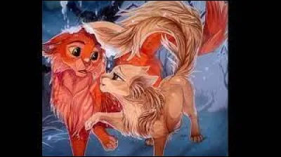 Quel est ce couple ?