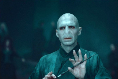 Es-tu pour les Mangemorts et pour Voldemort ?