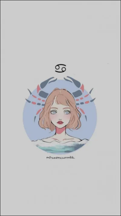 Quel signe a voulu représenter ce dessinateur ?