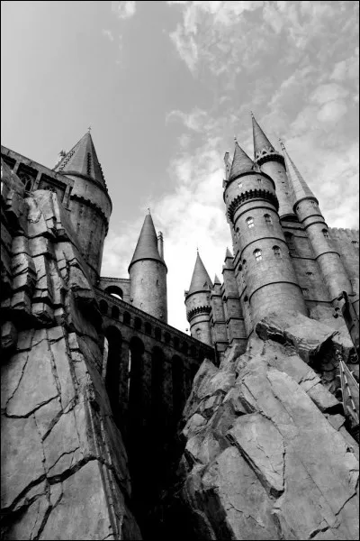 Que veux-tu absolument faire si tu vas à Poudlard ?