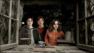 Concernant lamitié, comment es-tu ?