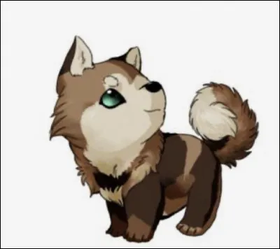 Ton animal préféré est...