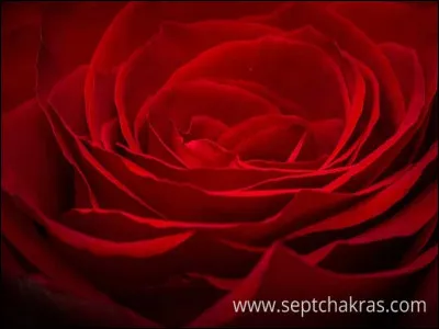 À quoi cette couleur te fait-elle penser ?