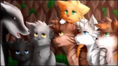 Qu'est-ce que "Le Grand Périple" ?