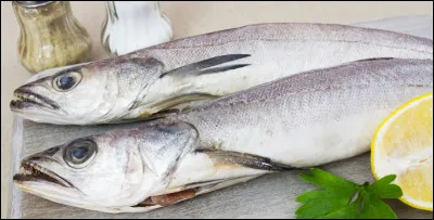 Par le biais du football, associez un poisson à une ville française !