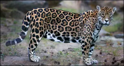 Et pour finir, je vous laisse réfléchir là-dessus !