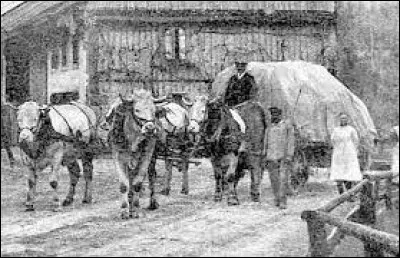 D'après un dicton, il ne faut pas la mettre avant !