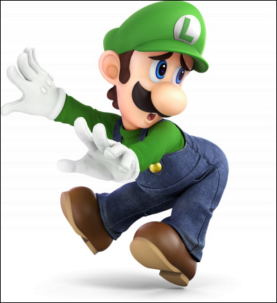 Comment s'appelle le frère de Mario ?