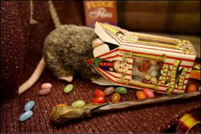 « Mon père ma dit que tous les Weasley ont les cheveux roux, des tâches de rousseur et beaucoup trop denfants pour pouvoir les nourrir. » Qui a dit ça ?