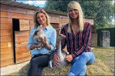 Sur quelle chaîne est diffusée l'émission "Animaux à adopter, nouvelle famille pour une nouvelle vie" montrant le quotidien de plusieurs SPA à travers la France ?