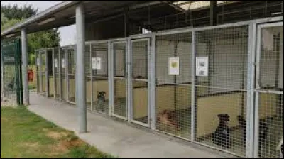 En France, combien y a-t-il de refuges et Maisons SPA ?