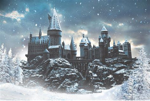 Quiz Harry potter