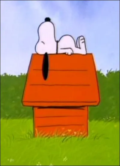 Qui dort sur le toit de sa niche ?