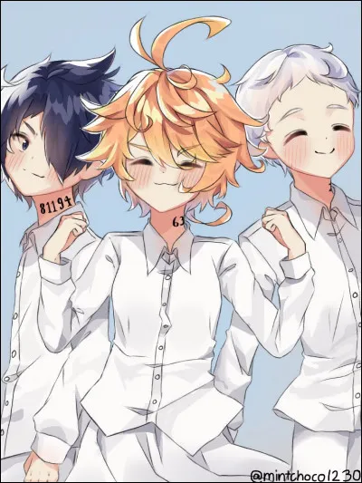 Quel est ton personnage préféré de ''The Promised Neverland'' ?