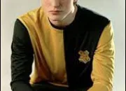 Quiz Es-tu un vrai fan de Harry Potter ?