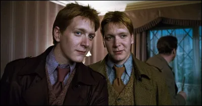 Qui de la famille Weasley n'a pas un diminutif en prénom ?