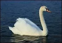 A quel animal Sully Prudhomme ddie-t-il un pome ?